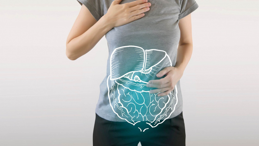 Suuri opas ruoansulatusentsyymeistä