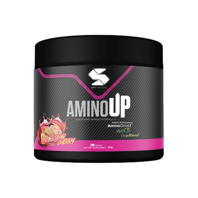 Skytrition AminoUP, 375 g