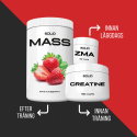SOLID Nutrition GAIN-paket